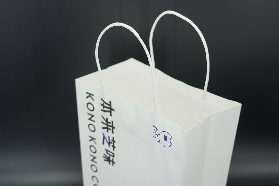 Biodegradable Packaging Kraft Bags recycled Custom Printed Paper Bags With Handles